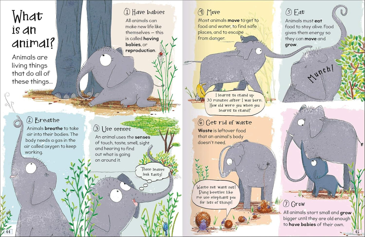 Miles Kelly: Science Curious Questions and Answers