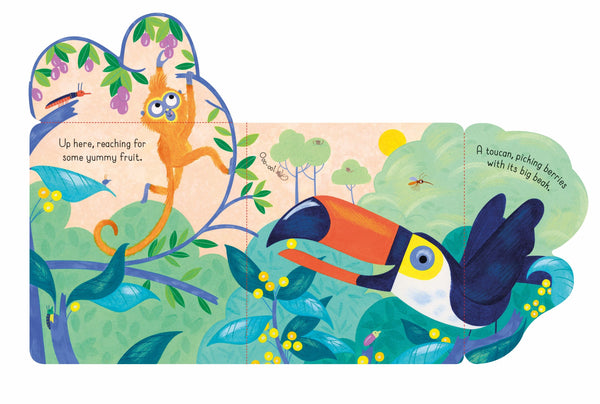 Usborne Little Lift And Look: Jungle