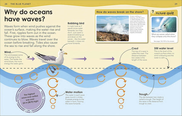 DK How Deep is the Ocean?: With 200 Amazing Questions About Oceans and Sea