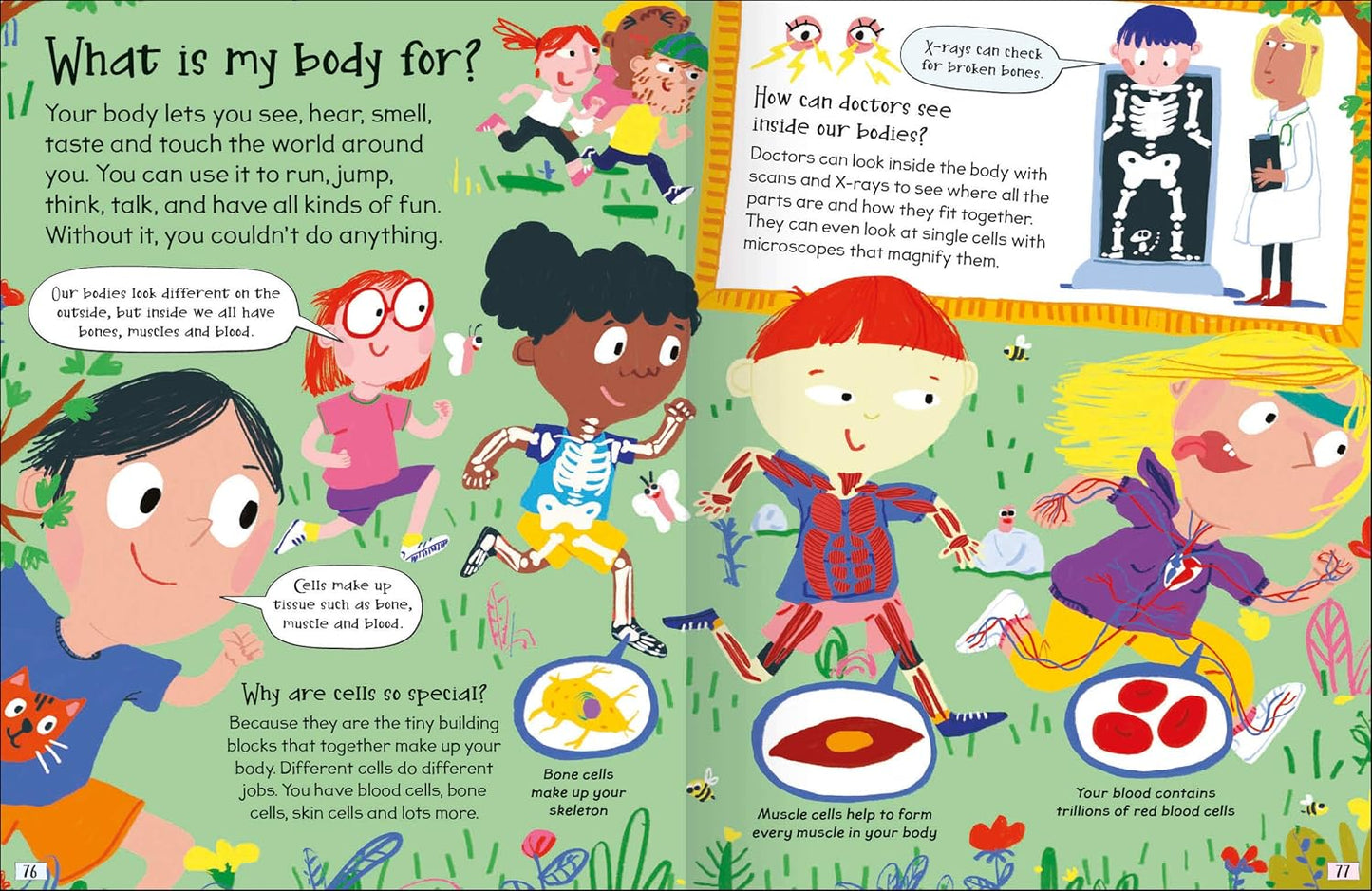 Miles Kelly: Science Curious Questions and Answers