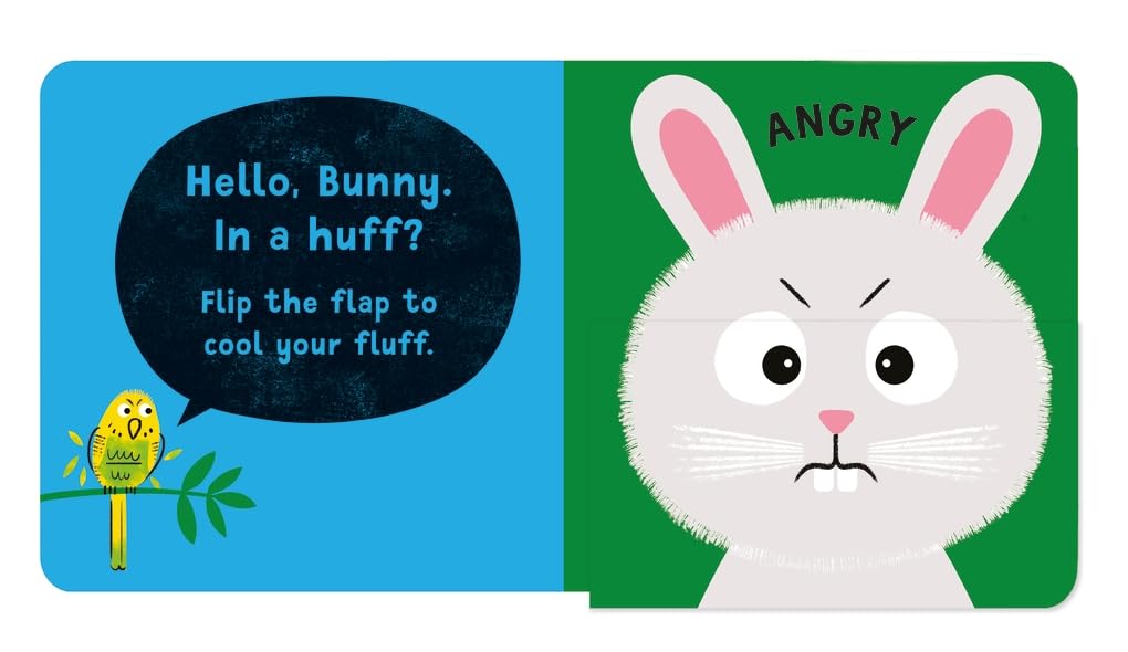 Flip-Flap Feelings: Pets