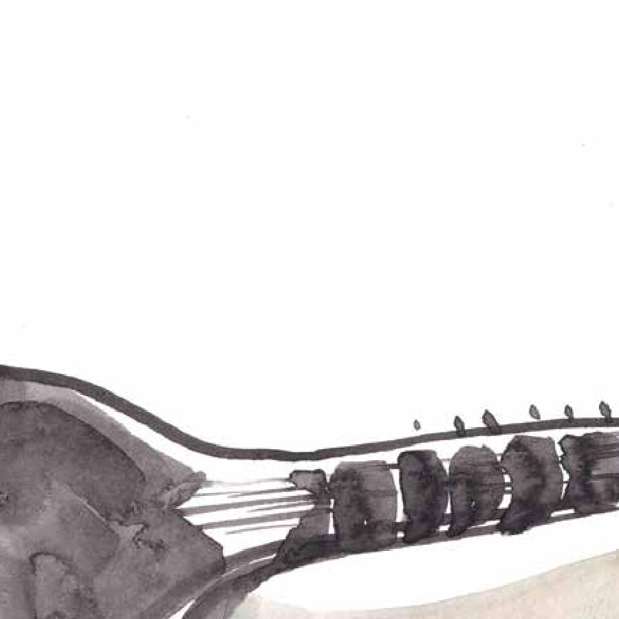 Sa Re Ga Ma Pa-kshi - Hindi