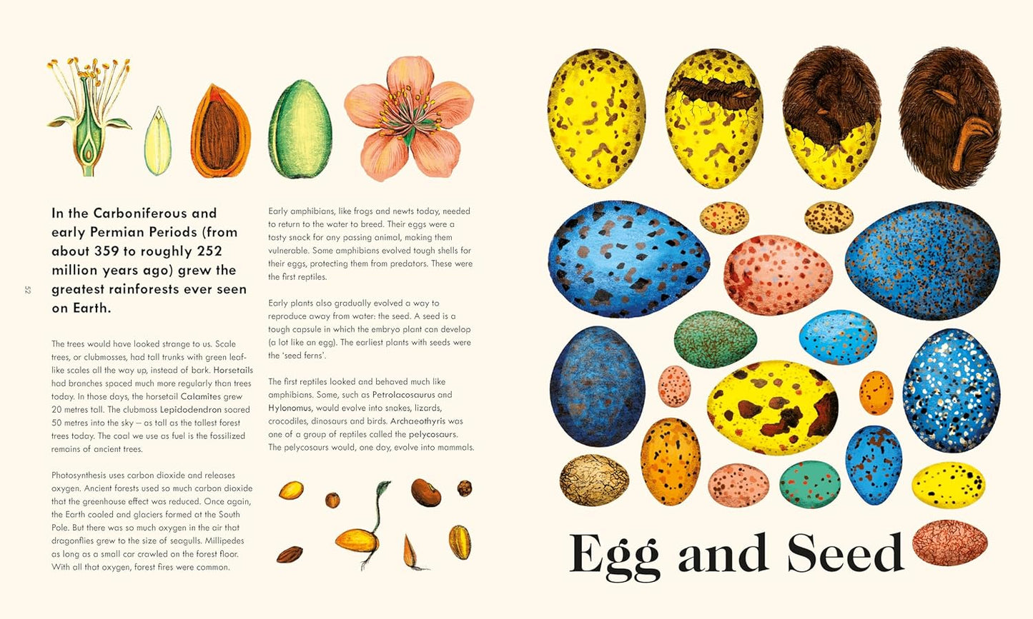 The Wonder of Life on Earth: The Story of Our Planet, Evolution and You