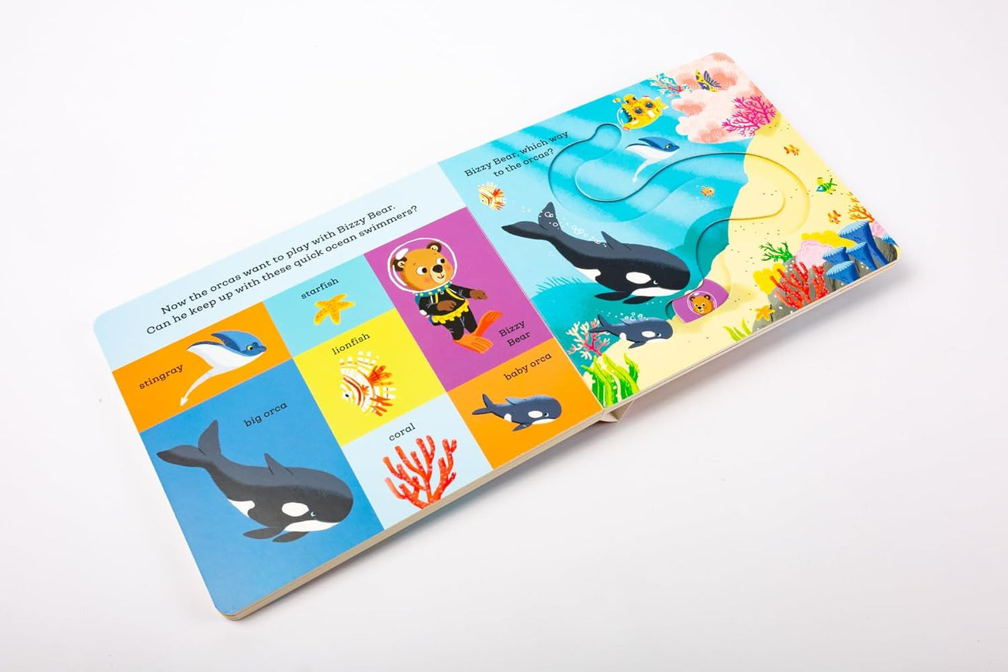 Find and Follow Bizzy Bear: Under the Sea