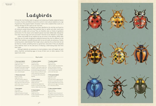 Welcome to the Museum: Insectarium