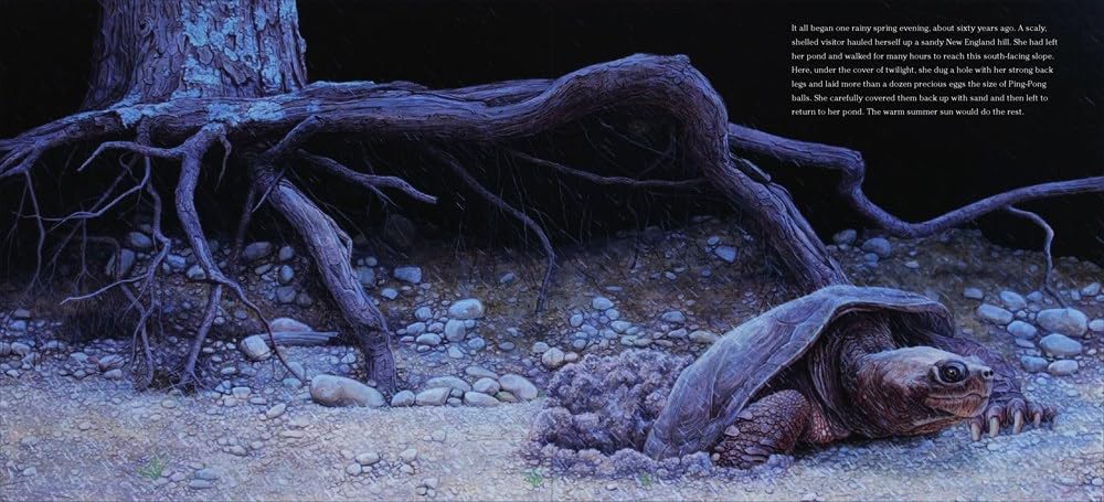 The True and Lucky Life of a Turtle