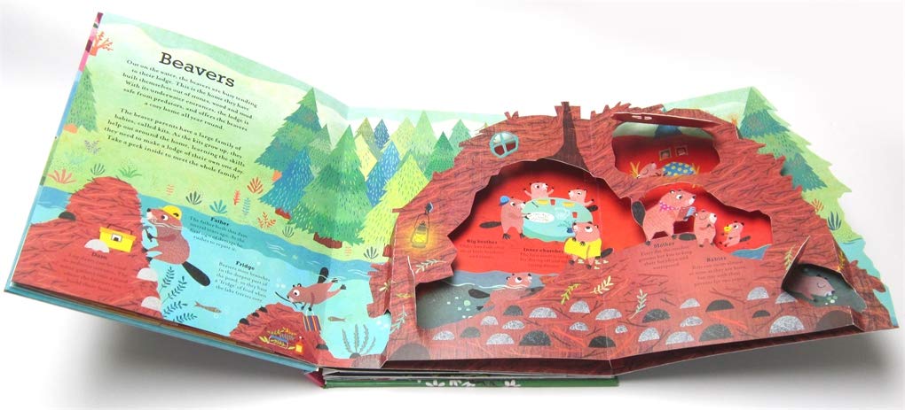 Pop Inside: Animal Homes