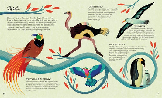 Darwin's Tree of Life (Hardcover)