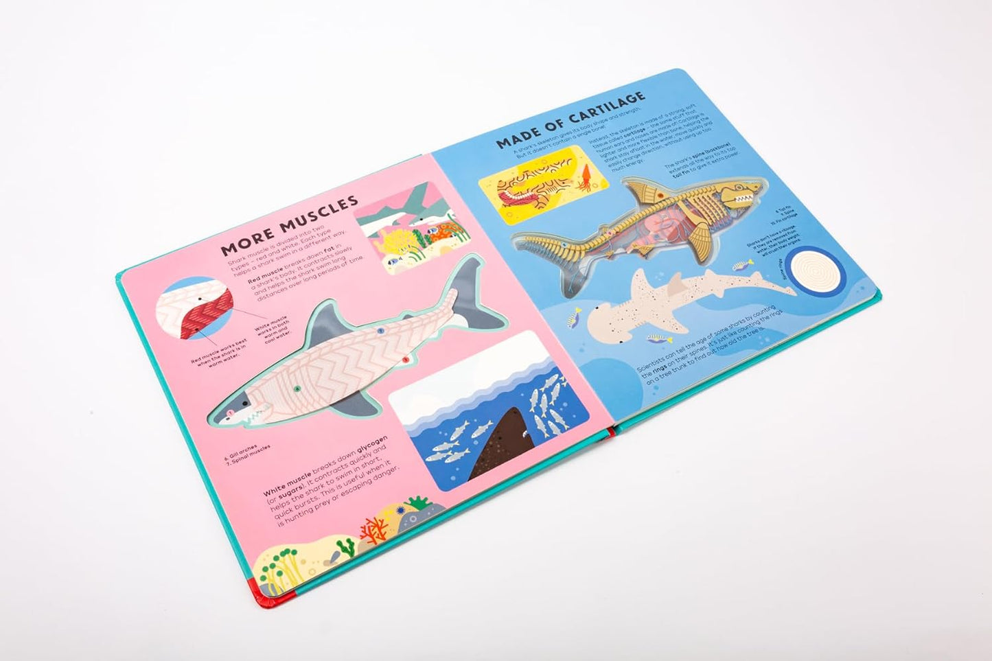 The Shark Book