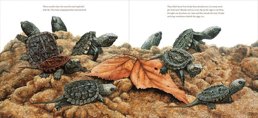 The True and Lucky Life of a Turtle