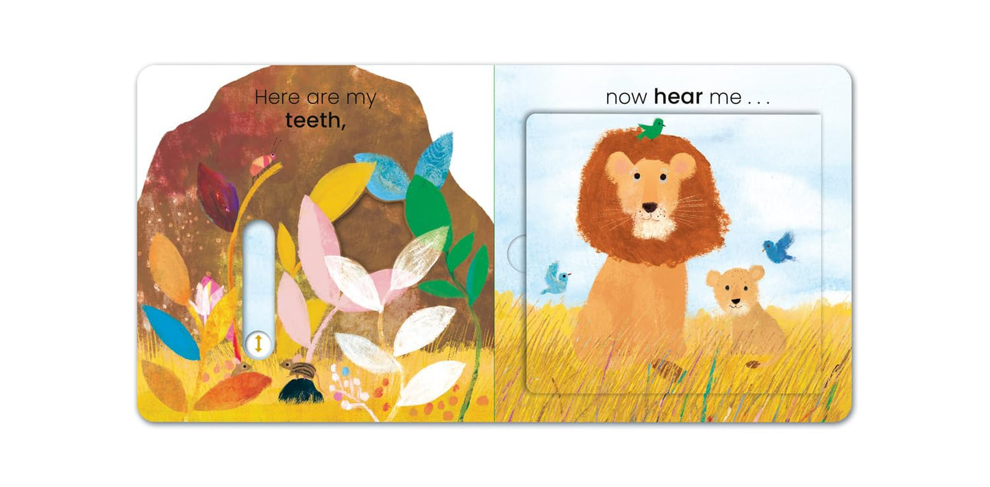 Look at Me, What Do You See? Lion