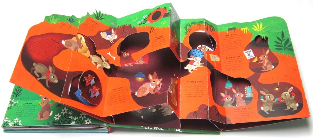 Pop Inside: Animal Homes