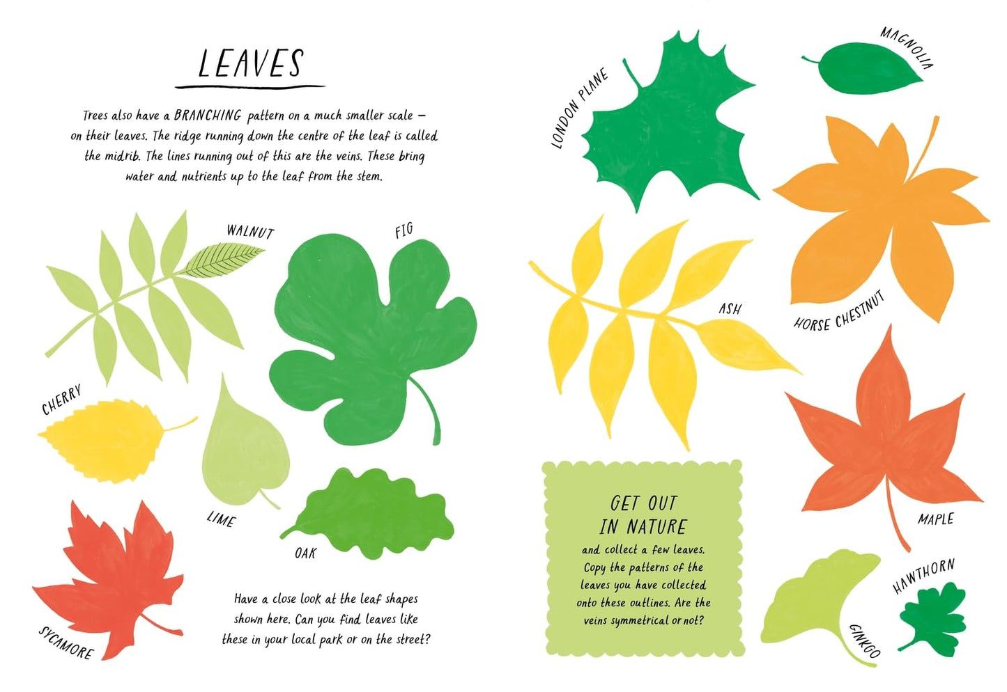 Drawn by Nature Patterns: Calming Activities for Creative Minds