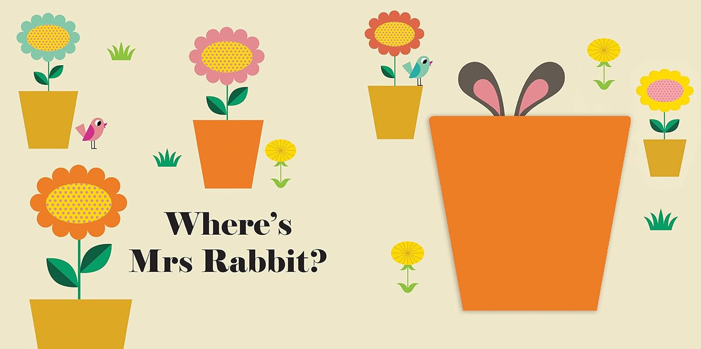 Where's Mr Dog? - Buggy Book