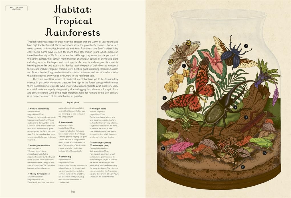 Welcome to the Museum: Insectarium