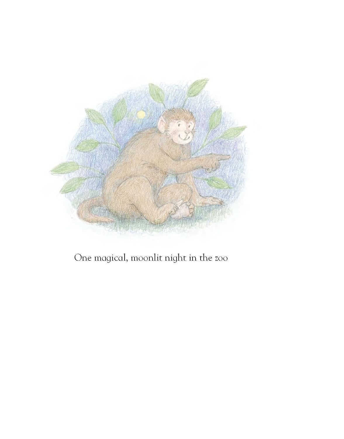 One Night in The Zoo - Judith Kerr