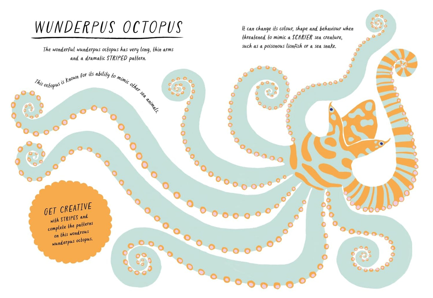 Drawn by Nature Patterns: Calming Activities for Creative Minds