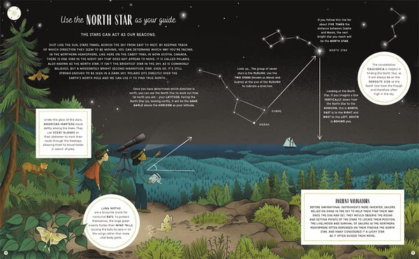 The Secret Signs of Nature: How to uncover hidden clues in the sky, water, plants, animals and weather