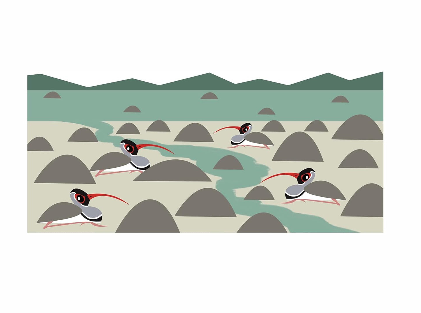 Bird Business: Dive into the Fascinating Lives of Indian birds - Rohan Chakravarty