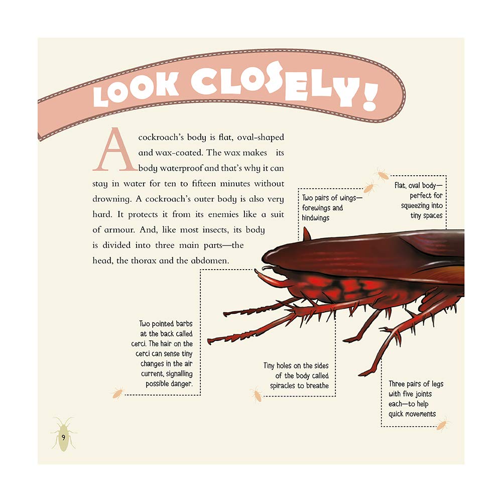 Eeks! I Saw a Cockroach!