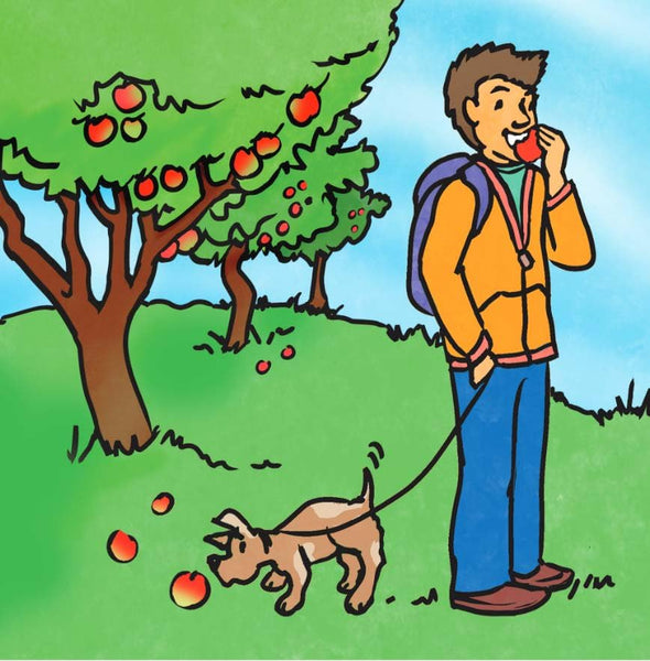 Noses Are Not for Picking - Elizabeth Verdick