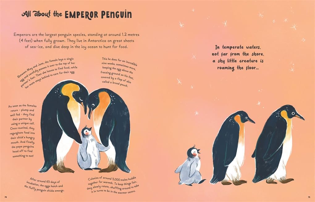 5 Minute Ocean Stories