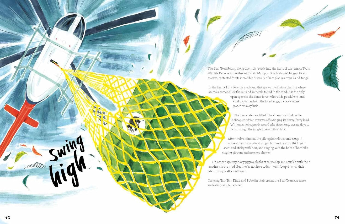 A Bear Belongs: A Rescue Story - Catherine Barr