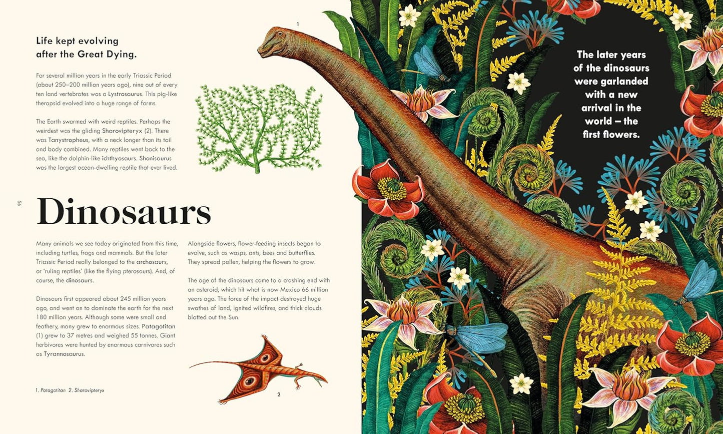 The Wonder of Life on Earth: The Story of Our Planet, Evolution and You