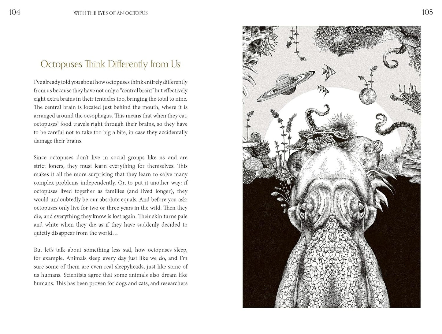 Amazing Octopus: Creature From An Unknown World