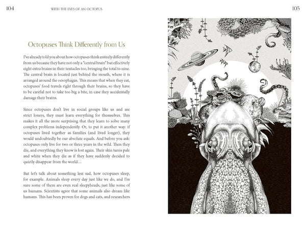 Amazing Octopus: Creature From An Unknown World