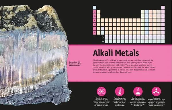 DK Our World in Pictures: The Periodic Table Book
