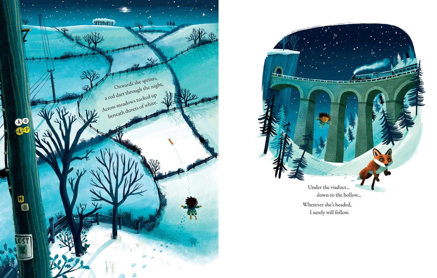 I Follow The Fox - Rob Biddulph