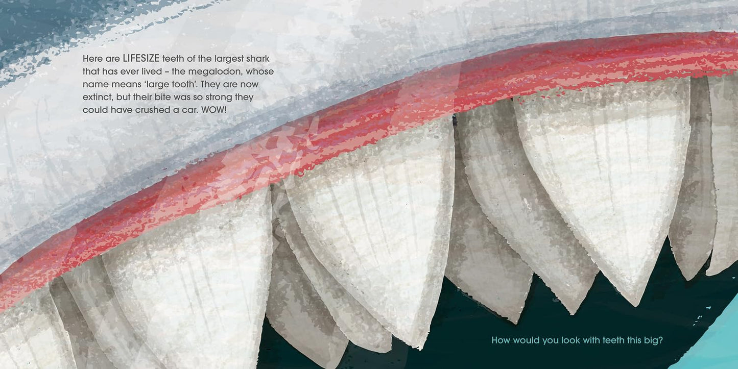 Lifesize Ocean Animals