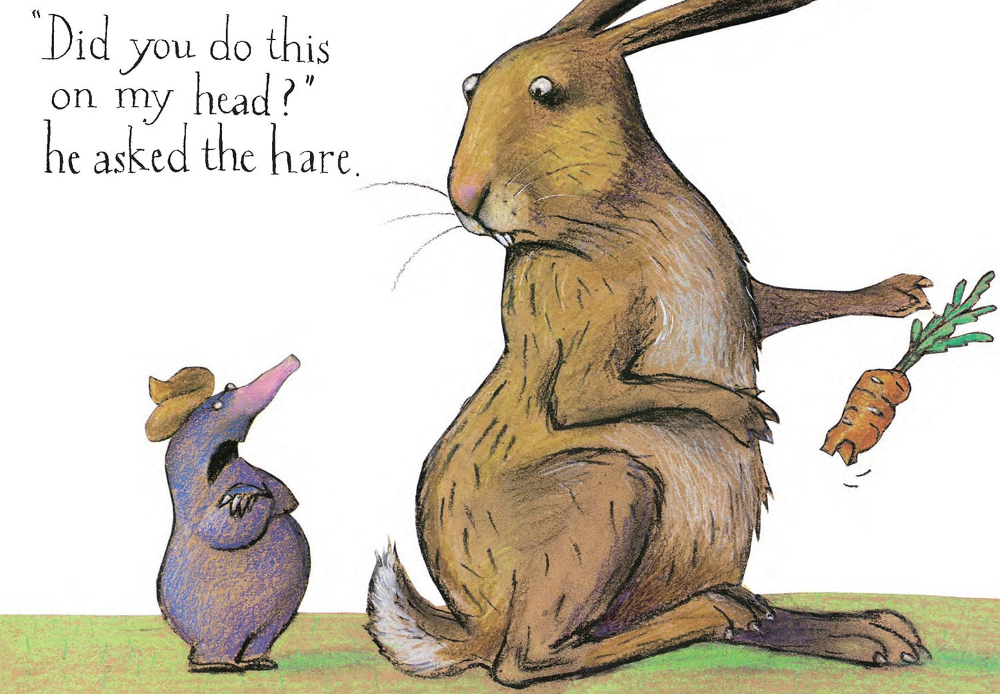 The Story of the Little Mole Who Knew it Was None of His Business