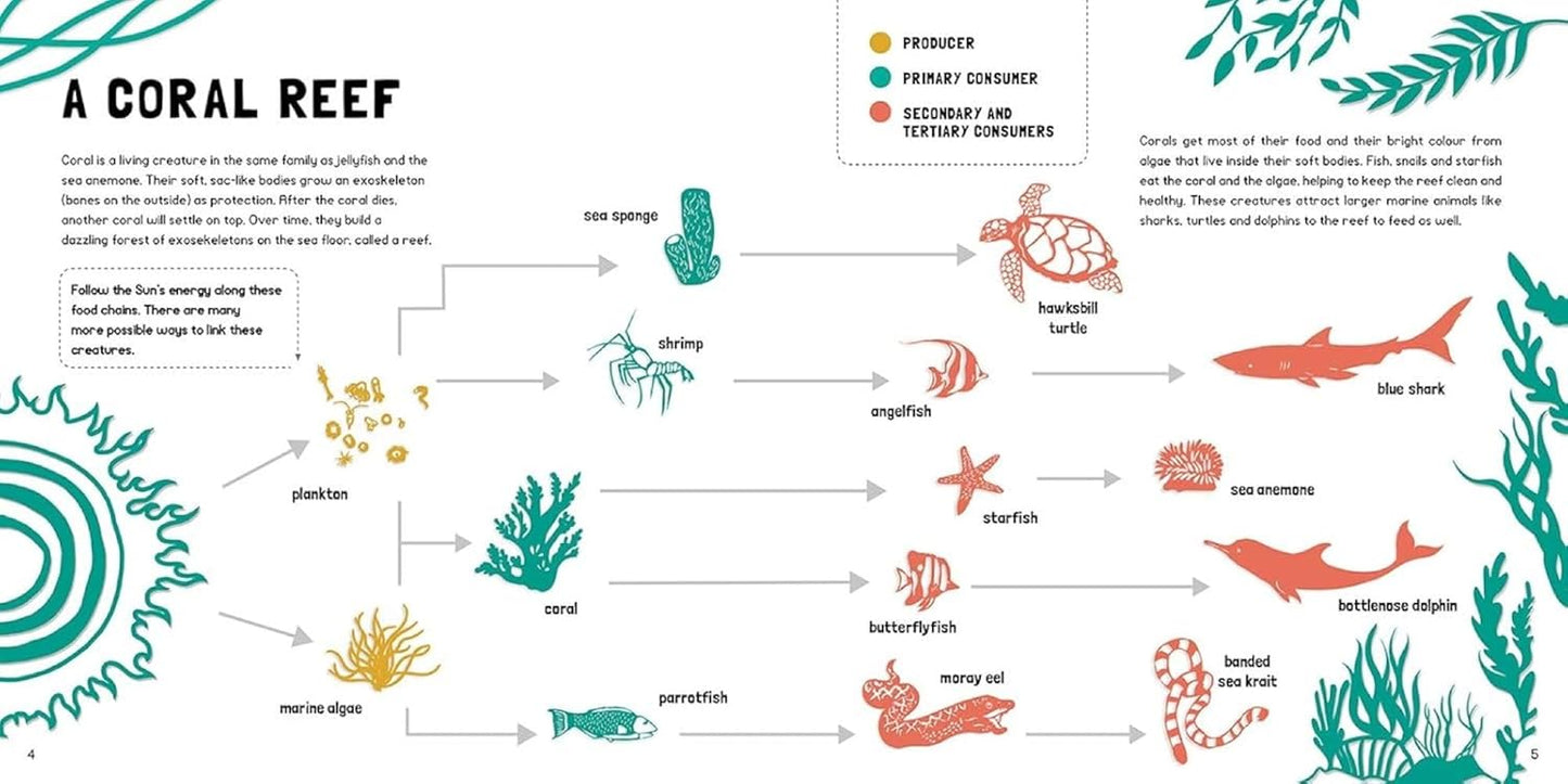 Food Chains: Who Eats What? (Search and Find)