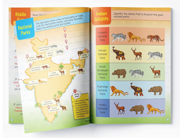 India Fun Activity Book