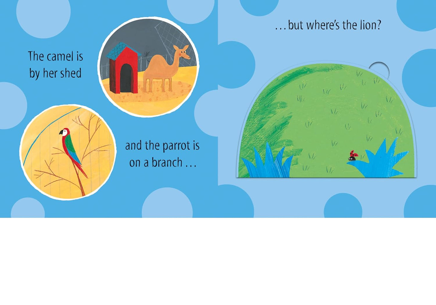 Who's at the Zoo? A Lift-the-flap book