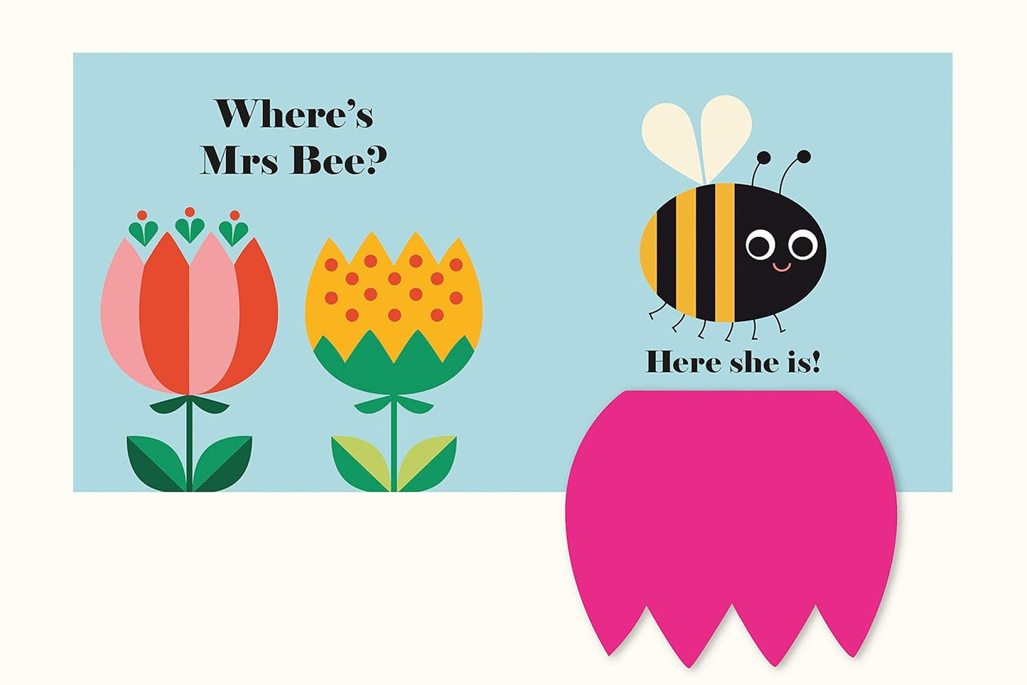 Where's Mrs Ladybird? - Buggy Book