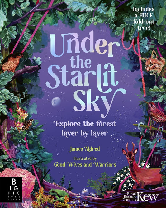 Under the Starlit Sky: Explore the Forest Layer By Layer