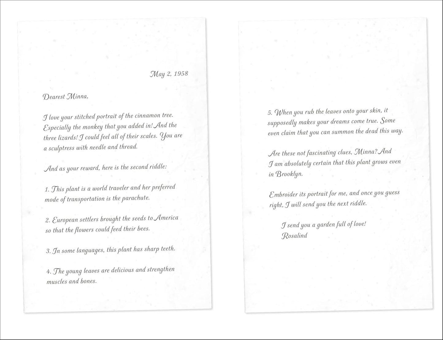 DK The Green Kingdom