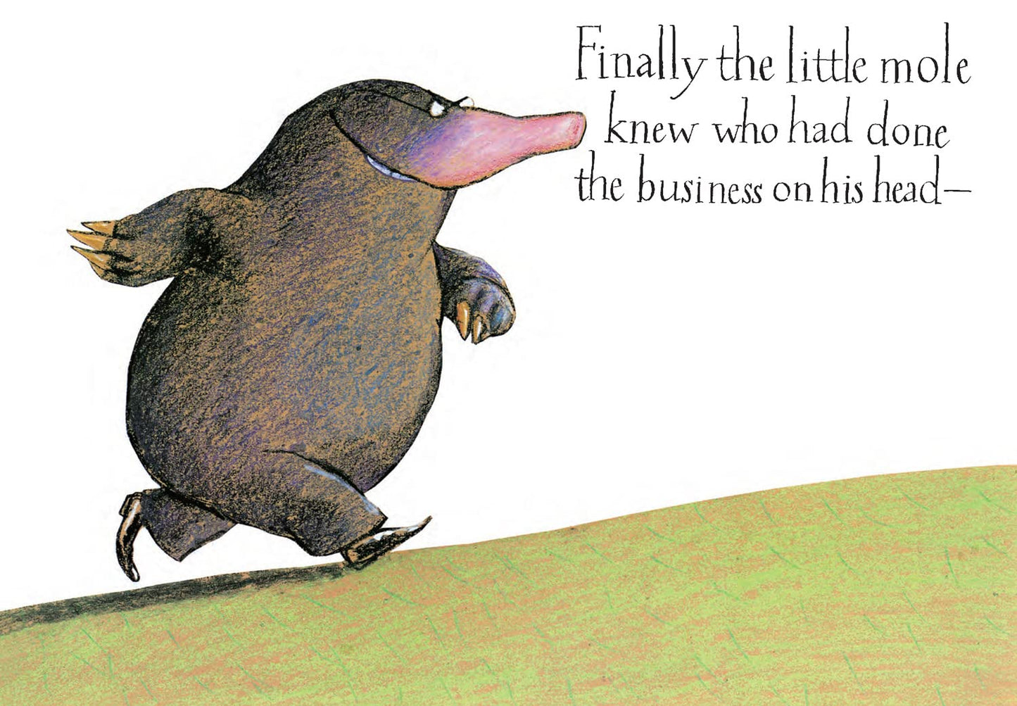 The Story of the Little Mole Who Knew it Was None of His Business