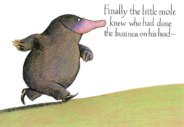 The Story of the Little Mole Who Knew it was None of His Business