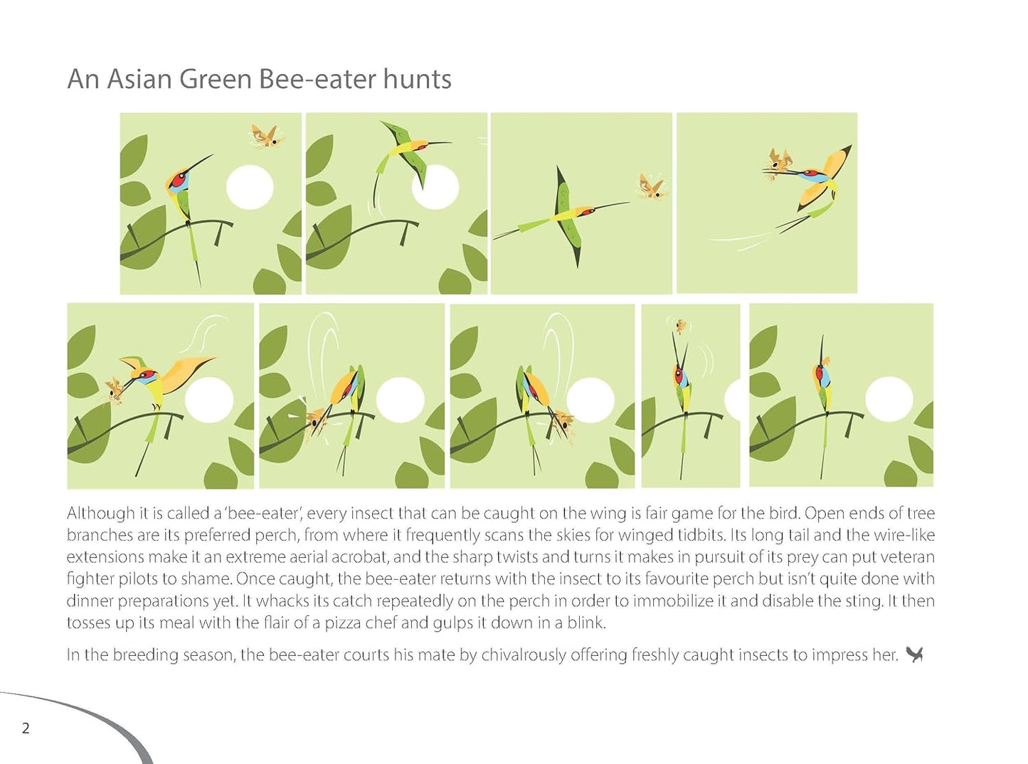 Bird Business: Dive into the Fascinating Lives of Indian birds - Rohan Chakravarty