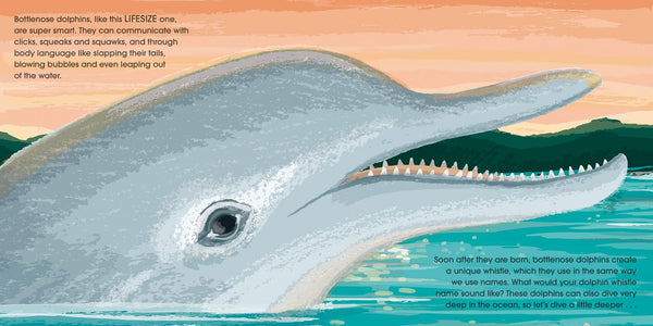 Lifesize Ocean Animals