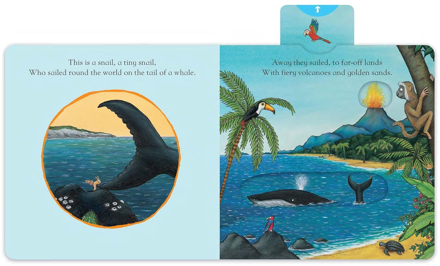 The Snail and the Whale: A Push, Pull and Slide Book