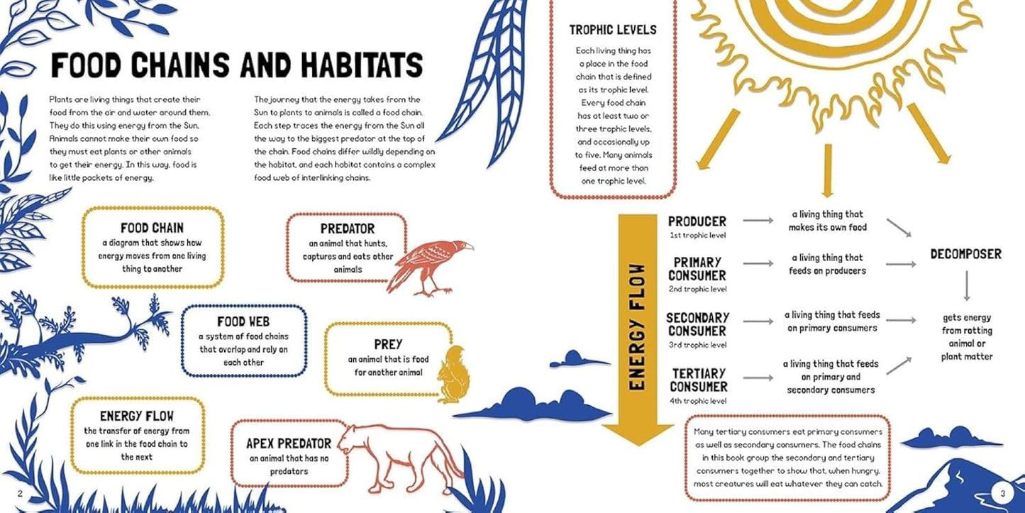 Food Chains: Who Eats What? (Search and Find)