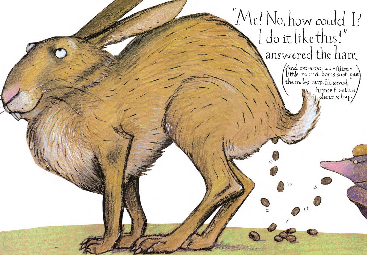 The Story of the Little Mole Who Knew it Was None of His Business