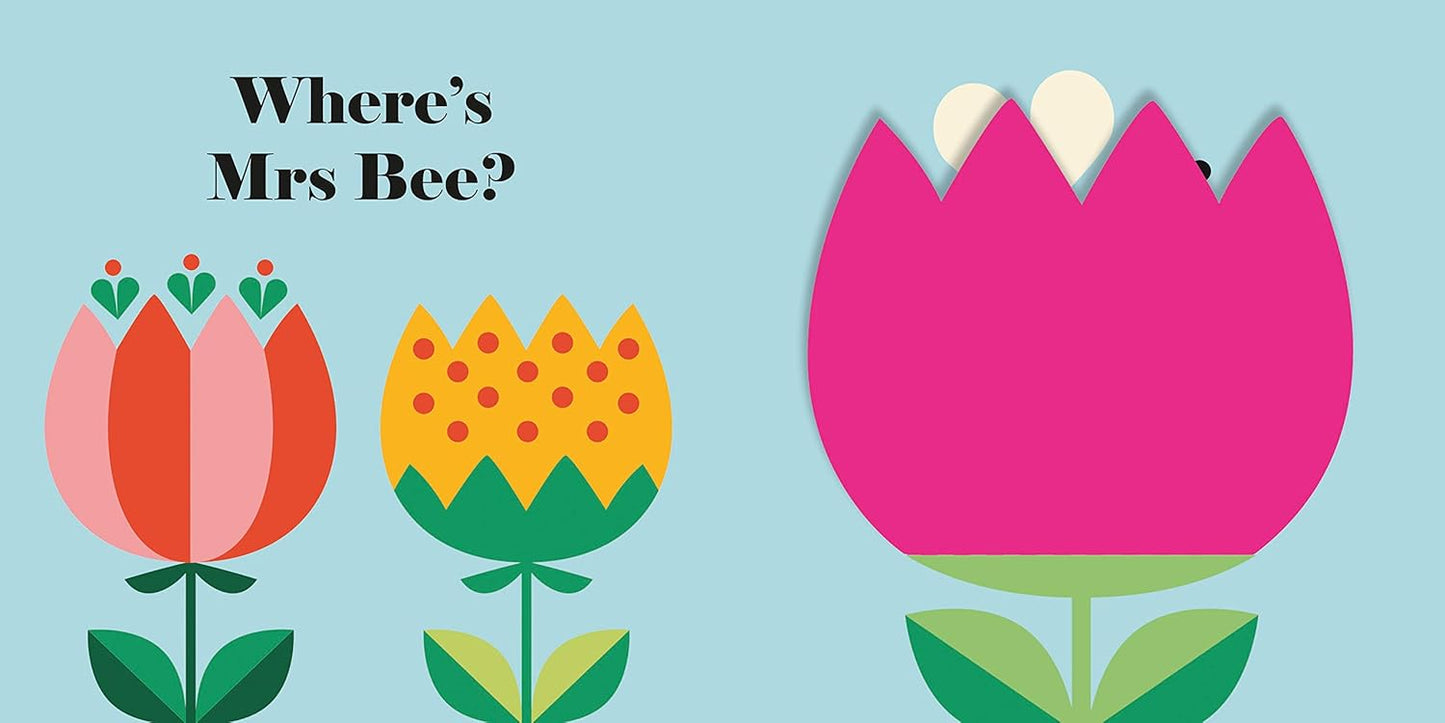 Where's Mrs Ladybird? - Buggy Book