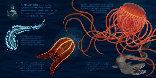 Lifesize Ocean Animals