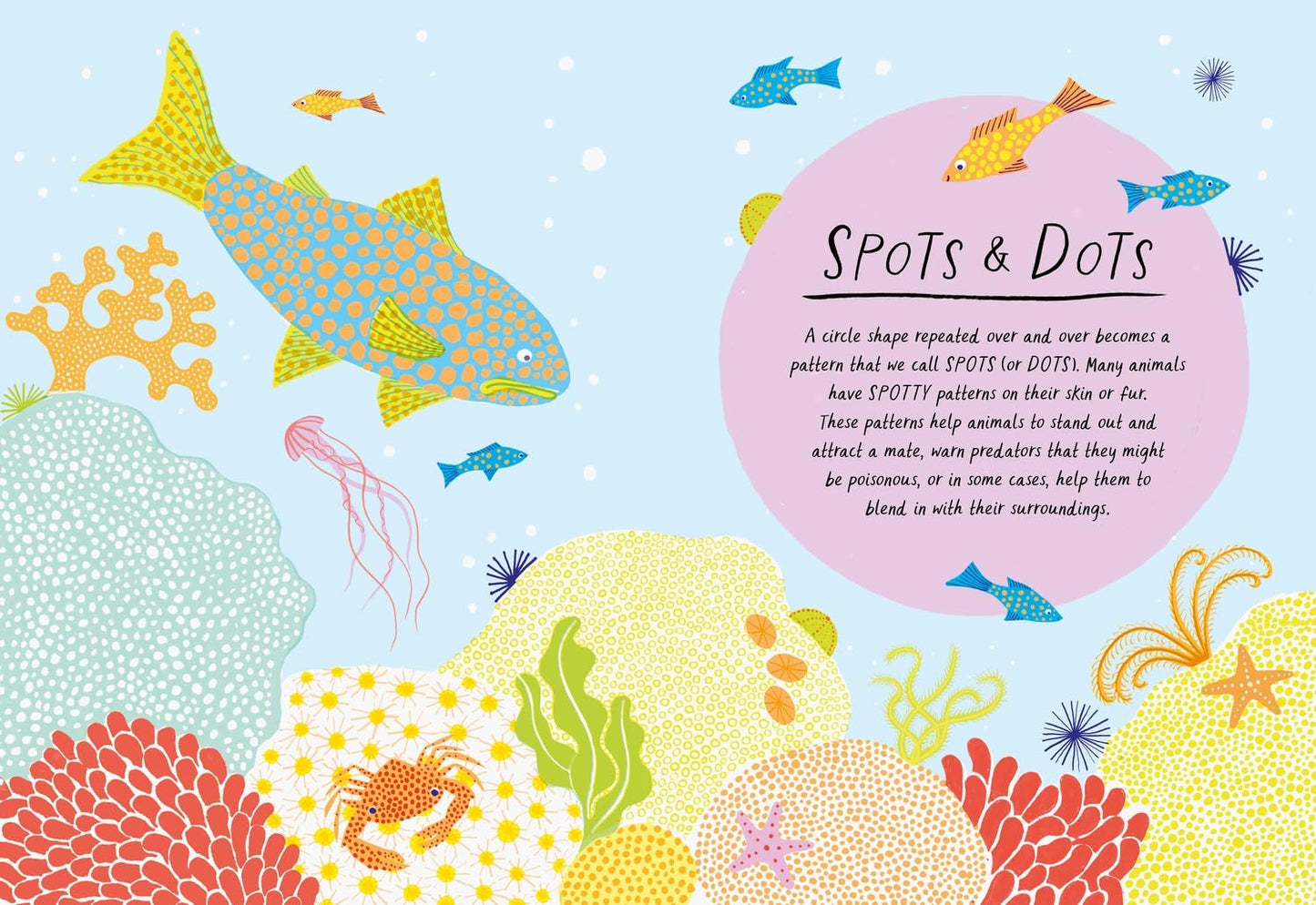 Drawn by Nature Patterns: Calming Activities for Creative Minds